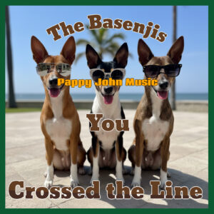 You Crossed the Line - Single